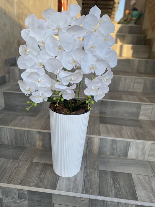 Латексна орхідея