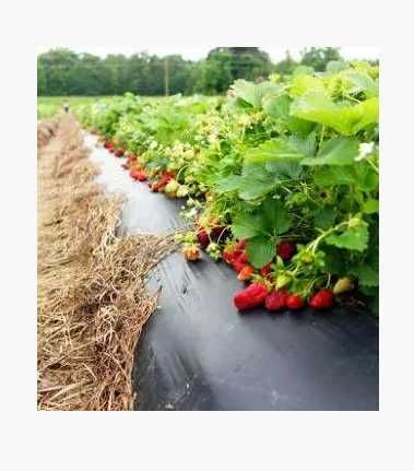 РАСПРОДАЖА! ПЛІВКА(ПЛЕНКА) чорна 300мкр, теплиц 6лет,строительная