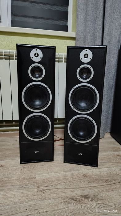 Акустичні колонки Life L8992