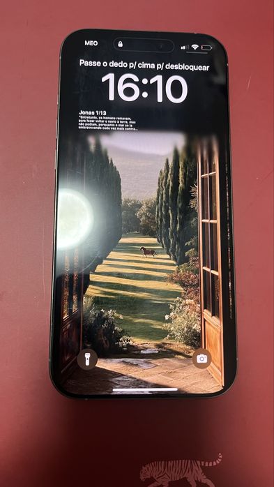 Iphone 16 pro max - ainda na garantia