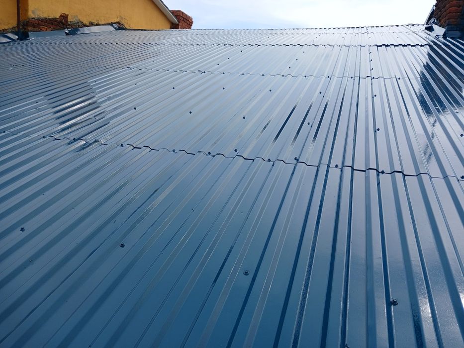 Фарбування дахів.