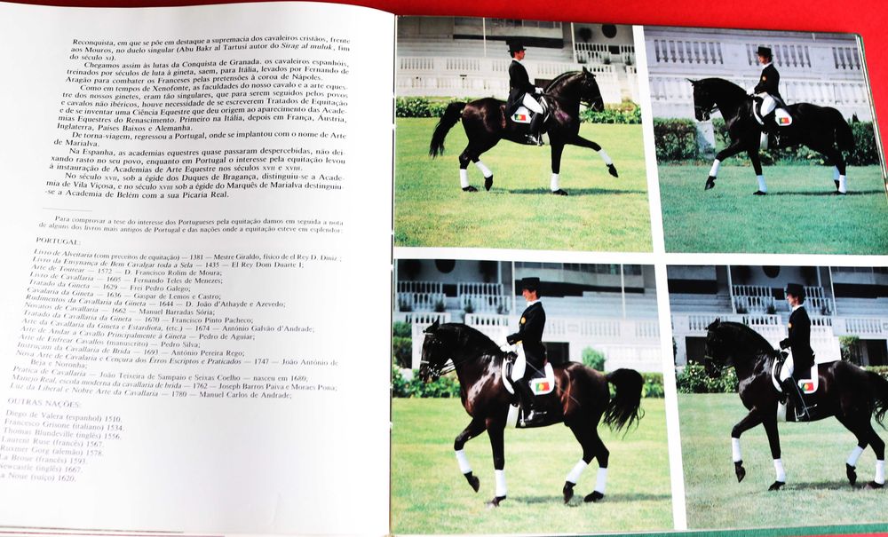 Arte Equestre: Cavalo Lusitano - O Filho do Vento, livro 1993