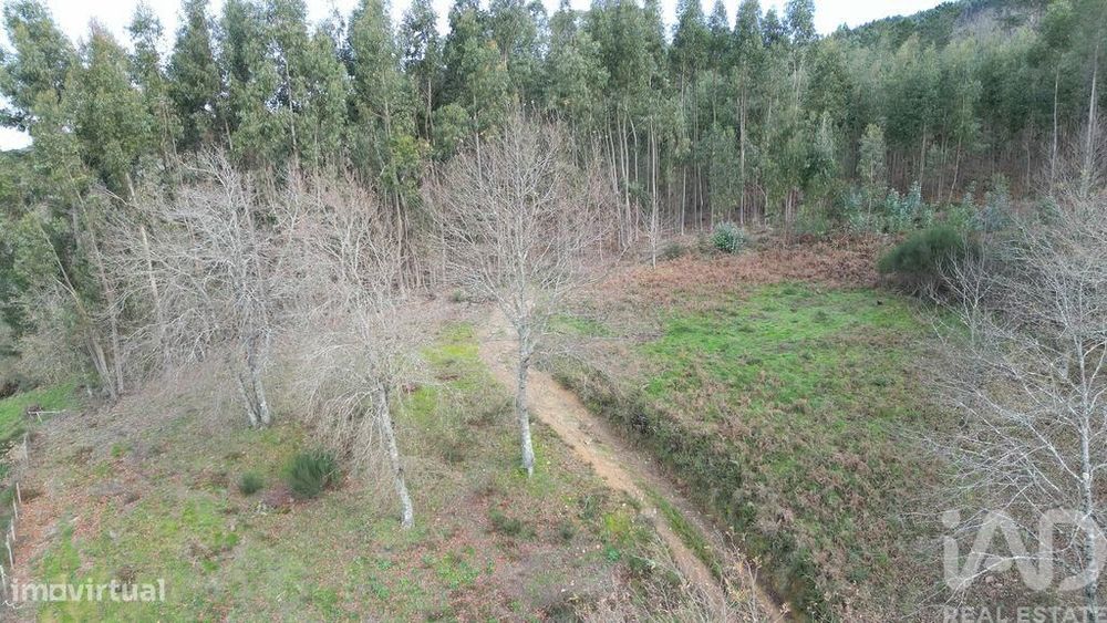 Terreno para construção em Espinhal