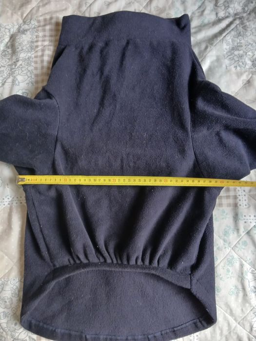 Одежда для собак