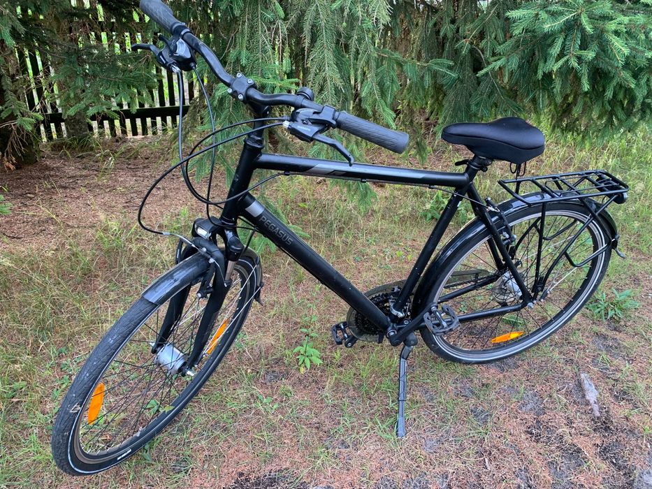 Rower miejski trekkingowy Pegasus Piazza