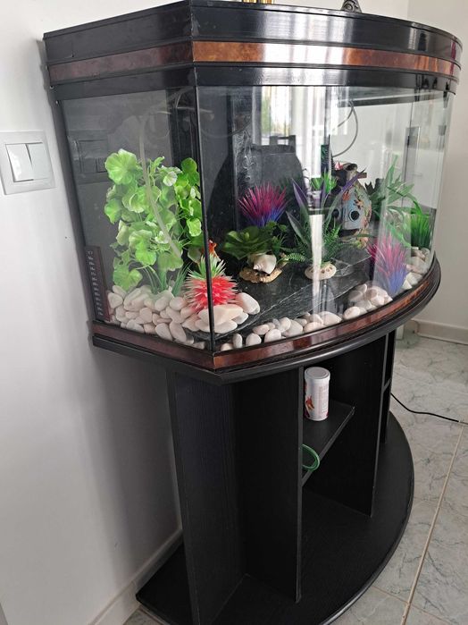 Aquário com móvel