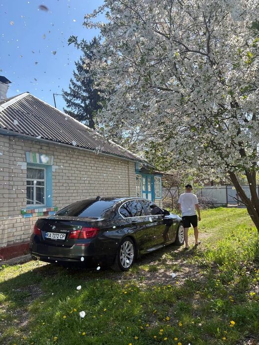 BMW 520D 2012 VIN WBAFW1105CDX10406 фото оголошення 24 з 24