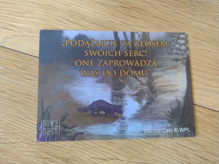 Wojownicy - pocztówka "Las podzielony"