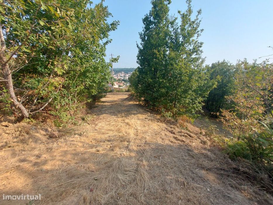 Terreno em Côja — Côja E Barril De Alva, Coimbra