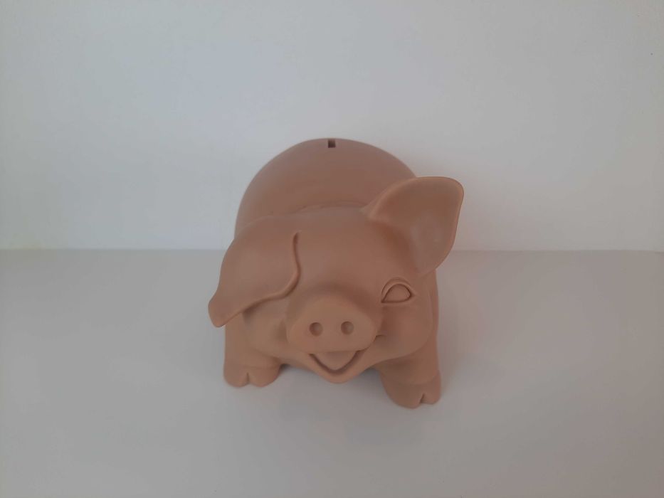 Mealheiro (porquinho mealheiro)