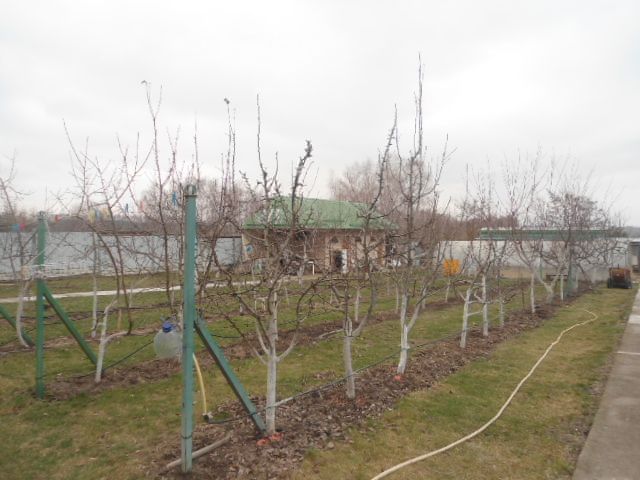 Євідновлення.Продажа дом имение с Маковище 250м+100м гостевой, водохра