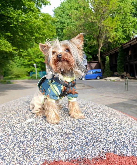 Шукаю наречену!!!