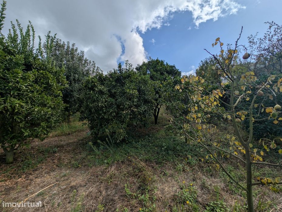 Terreno Misto em Vilaça – 1.100 m²