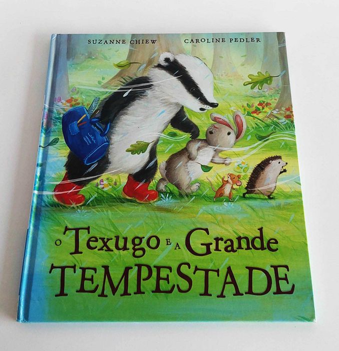 O texugo e a grande tempestade