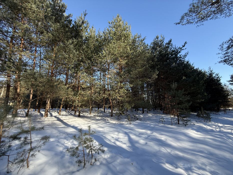 Продаються дві суміжні ділянки 0.15га та 0.2га, с. Лубʼяна