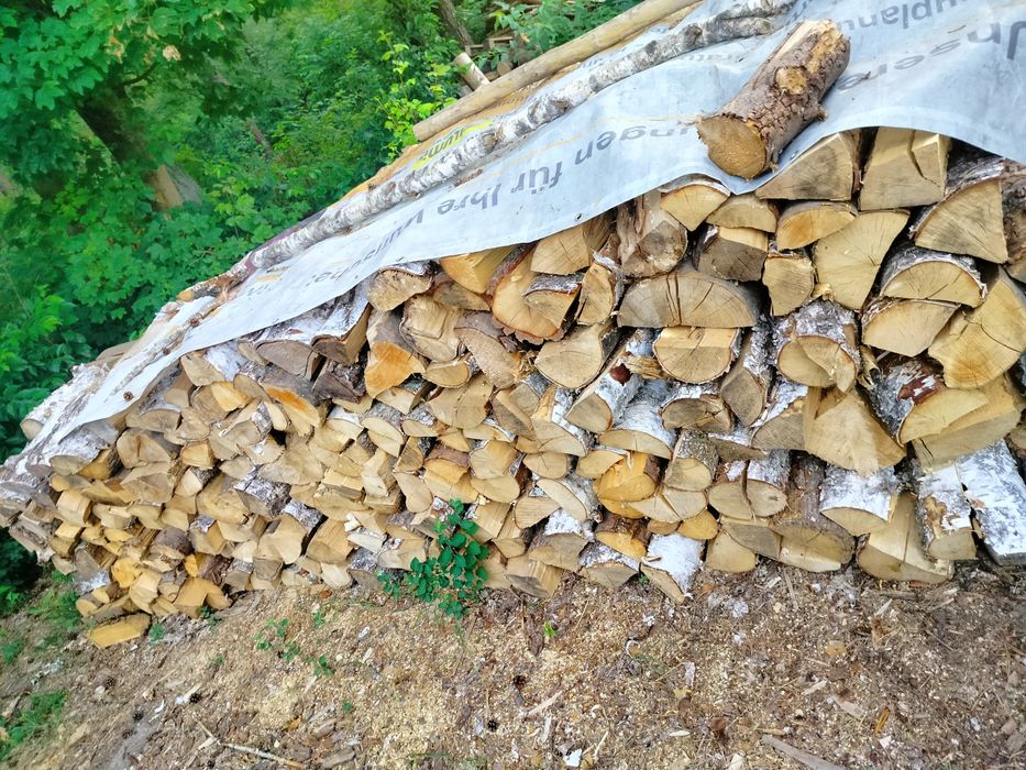 Suche Drewno opałowe kominkowe i galeziówka liściaste i iglaste