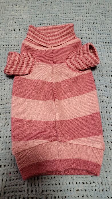 Светрики для сфінксів