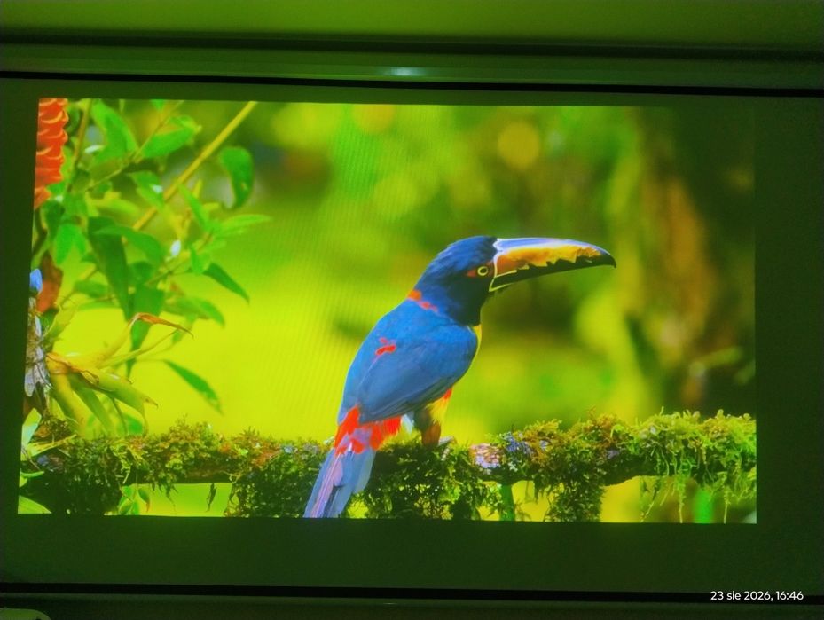 Projektor NEC LCD UM301W HDMI