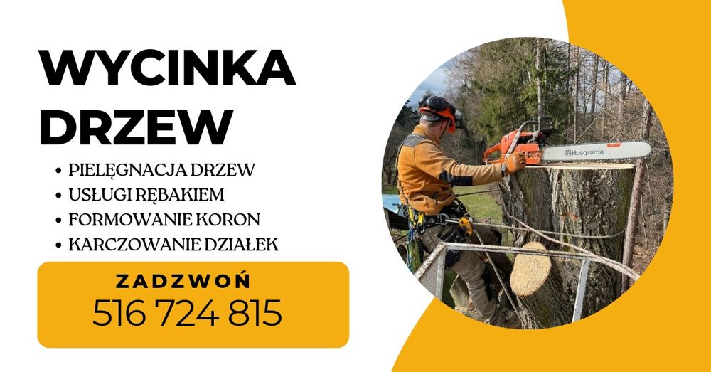 WYCINKA drzew, pielęgnacja drzew