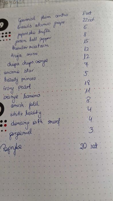Sadzonki Pomidora i papryki