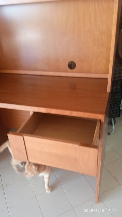 Secretária e estante