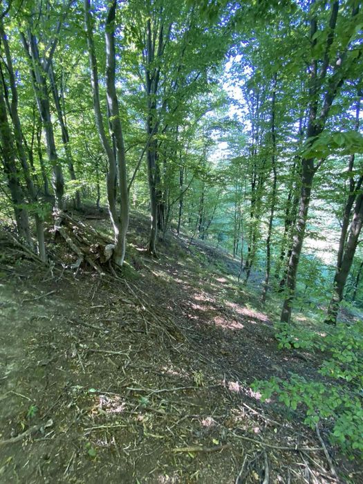 Власник.Продам.Обмін зем ділянку з кад.номер. 7км від Косова.1.га