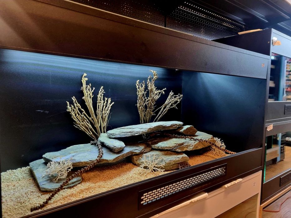 Terrarium 120x60x60 dla agamy brodatej