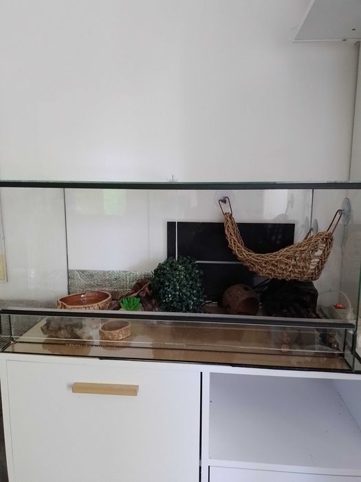 terrarium 40x80x40