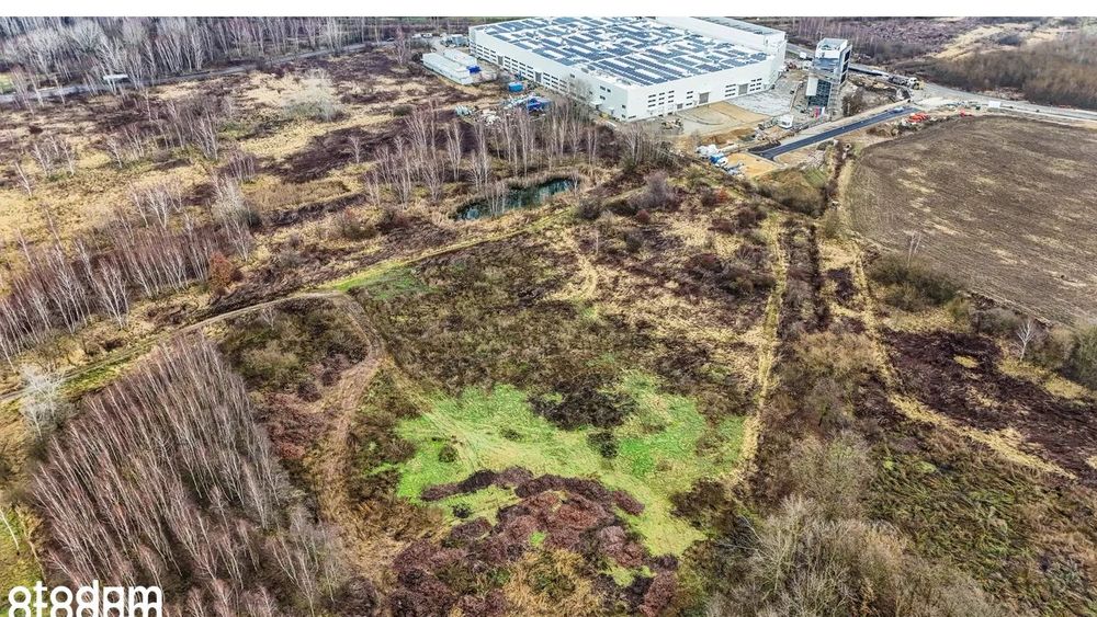 Działka inwestycyjna 1,9 ha | 2AG| 700 m obwodnica |Wrocław Jerzmanowo - Widok 5