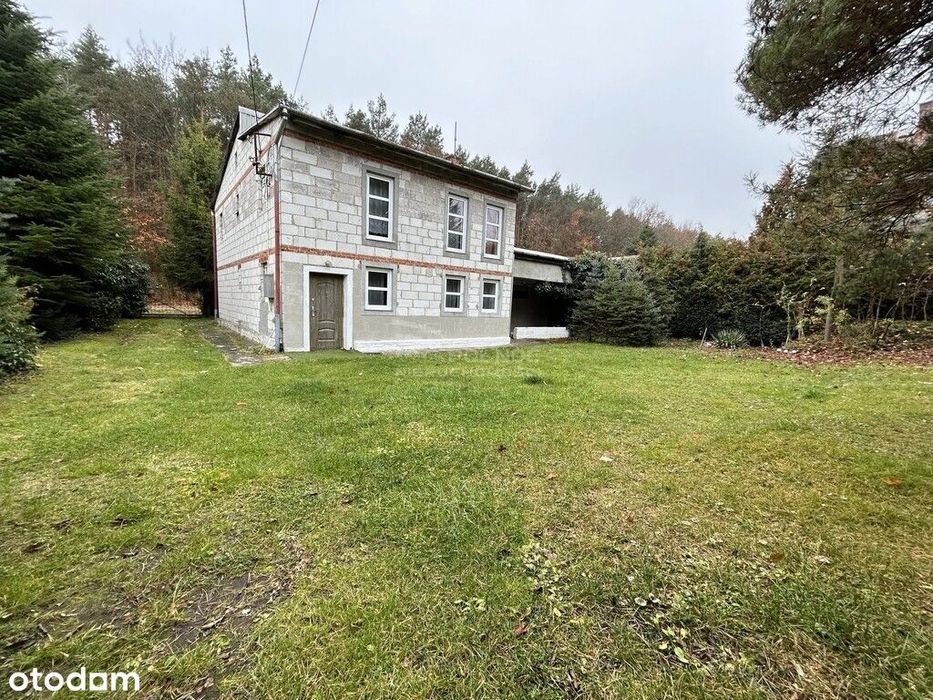 Twój Azyl! Dom z ogrodem i warsztatem przy lesie.