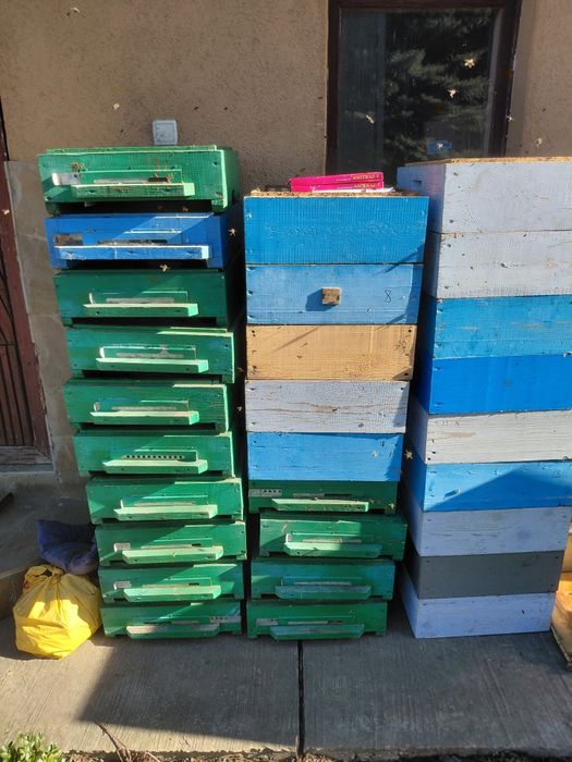 Продам суш ,вулики,бджоли