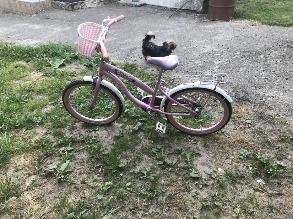 велосипед дитячій