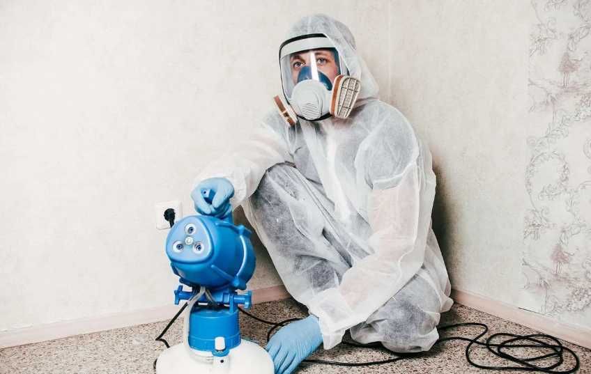 Травля тараканов Уничтожение клопов и мышей Без запаха с Гарантией