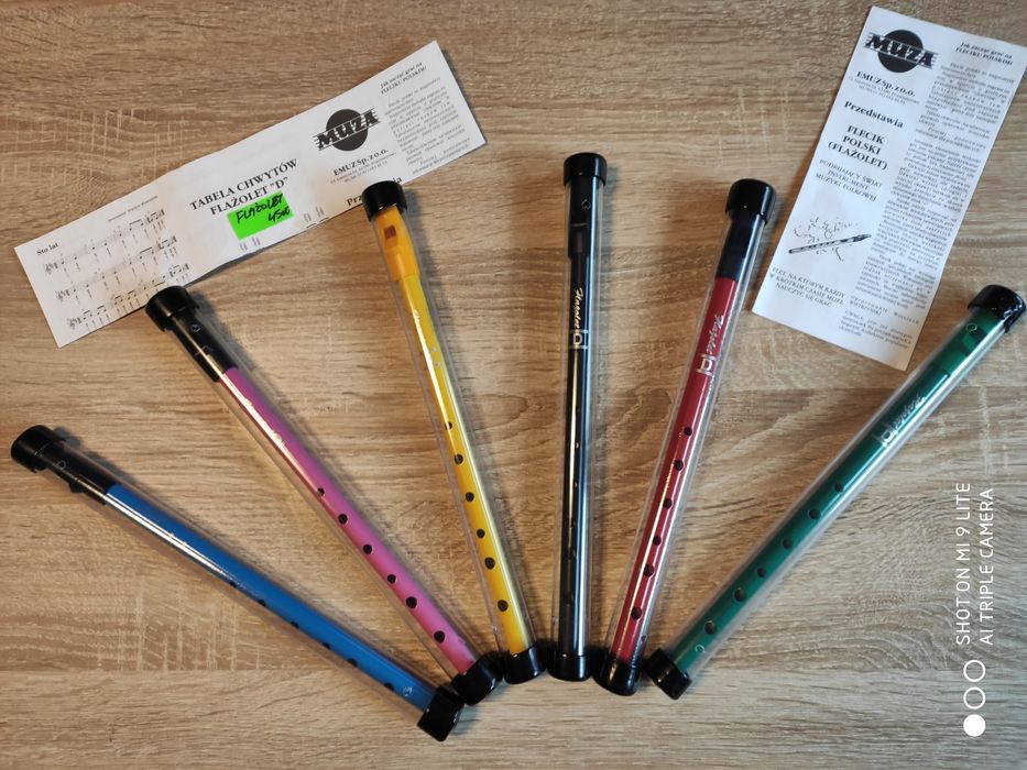 Flazolet Polski instrument