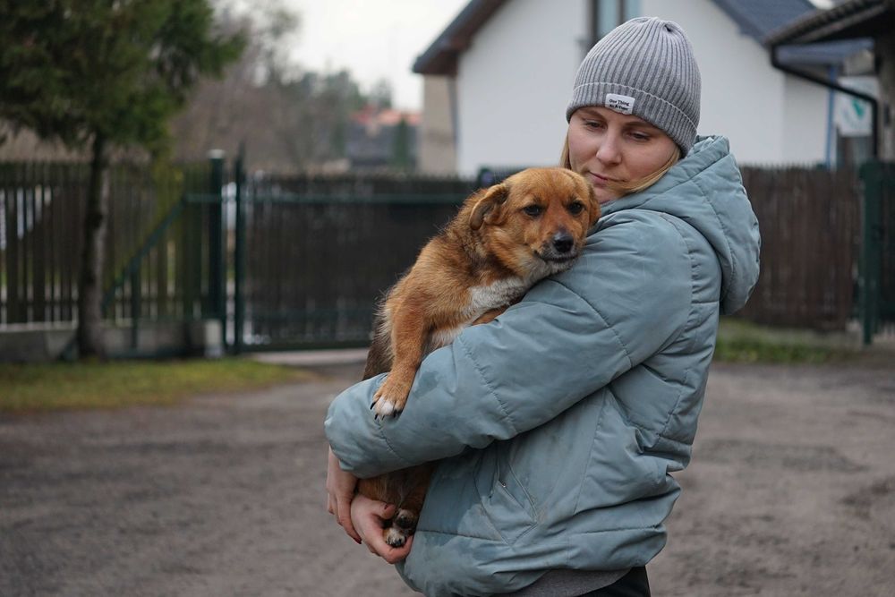 Blusia - mała, ruda sunia szuka domu