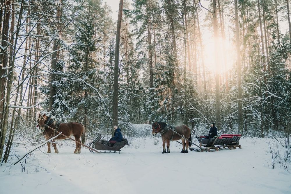Impreza Kulig konny Supraśl Ogrodniczki Białystok Sanie Konie bryczka