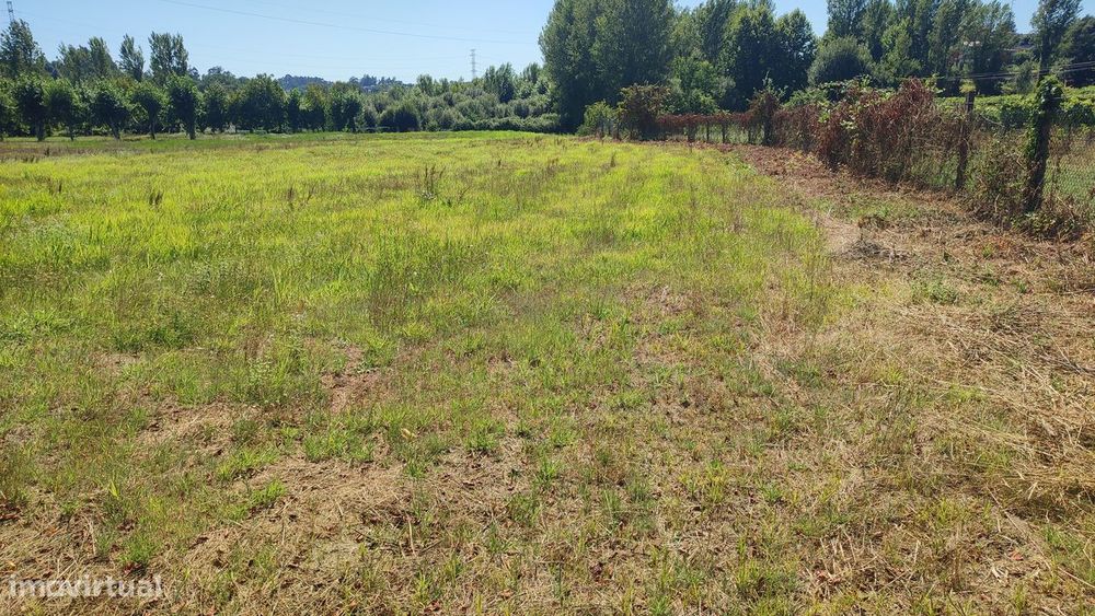 Land Plot in Fiscal, Amares