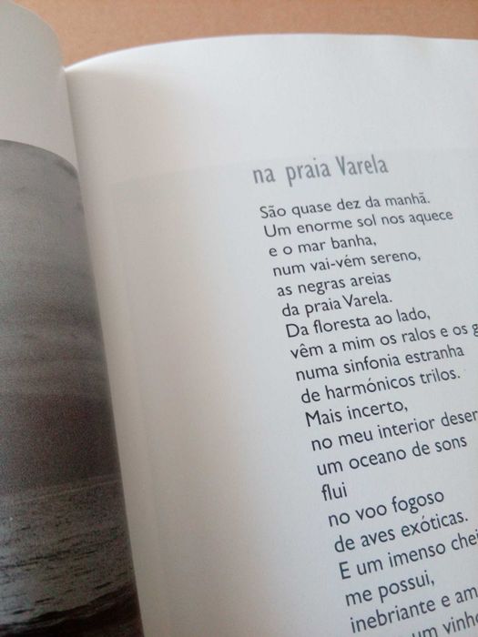 José Luís Carvalhido da Ponte