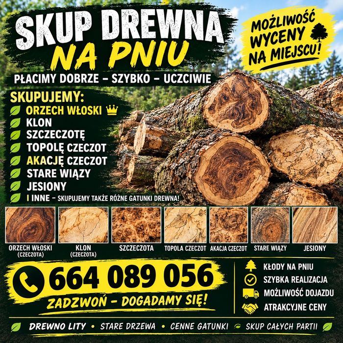 Skup Drewna Orzech włoski