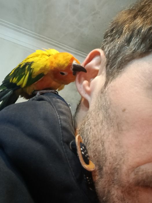 araktinga muito meiga