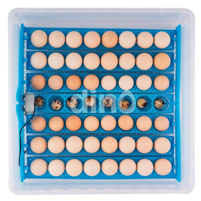 Inkubator Lęgowy DINO do 56 Jaj z Klujnikiem Automatyczny Uniwersalny