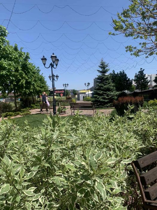 ОРЕНДА Офіса Велике вікно 7 поверх ЖК Львівський Маєток