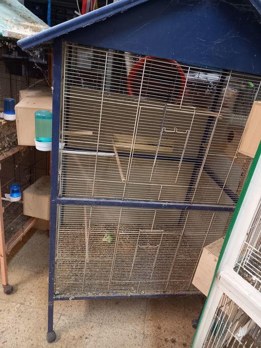 Viveiros vários com divisória