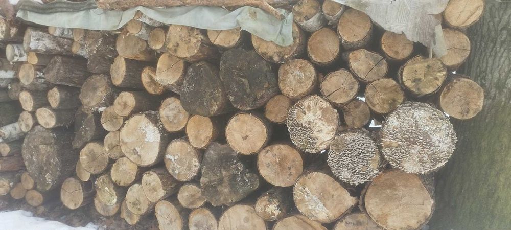 Drewno opałowe DĄB SOSNA OLCHA sezonowane suche