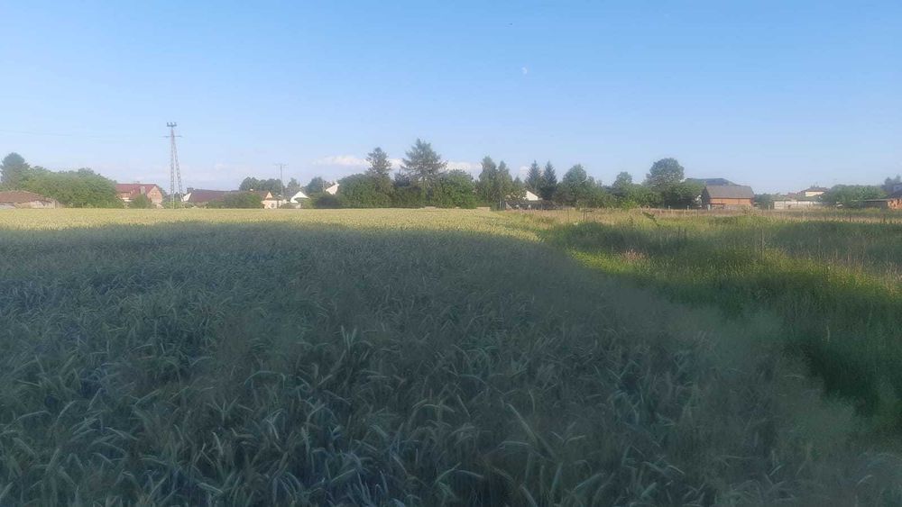 Działka budowlana 2500 m² z Warunkami Zabudowy! Lubaczów,  ul. Chabrowa