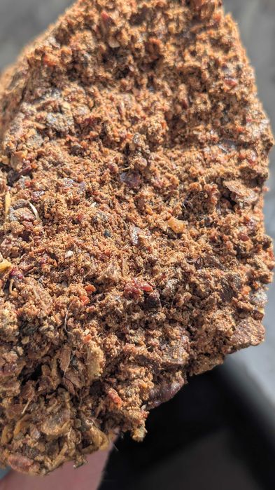 Propolis - kit pszczeli (0,5 kg)