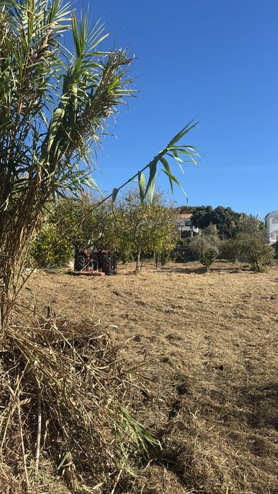 Limpeza de terrenos com corta-mato