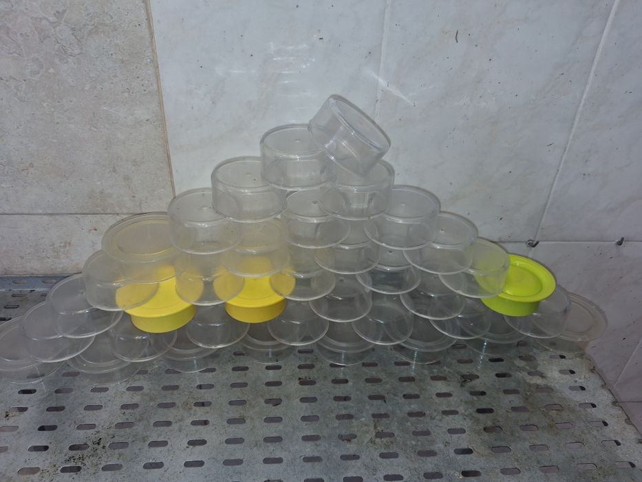 Tigelas de papa Usadas