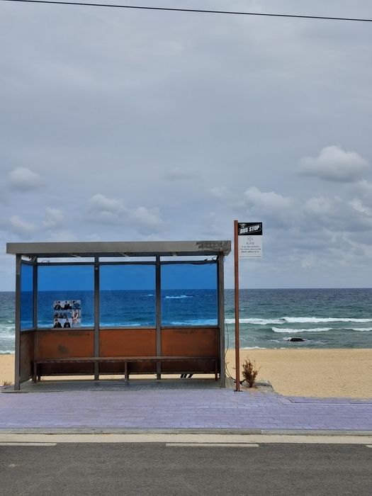 Репетитор корейської мови та польської до іспитів