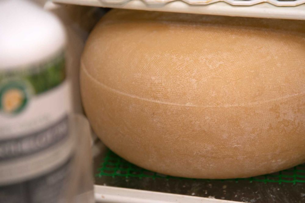 Форма для сиру на  6кг,  скруглені кути